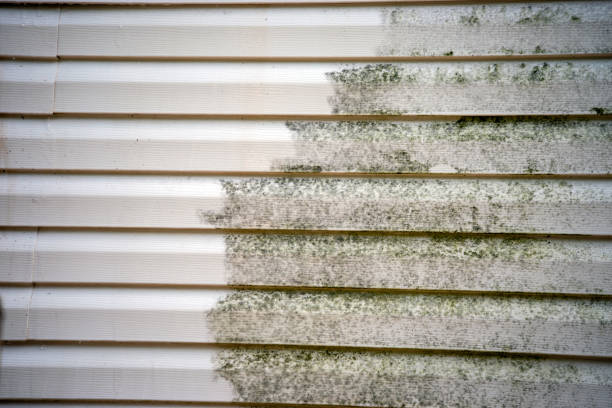 Best Foreclosure Cleanout  in Mondovi, WI